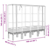 ZNTS Raised Bed with Greenhouse Cover Rattan Look 160x40x140 cm 4015849