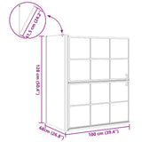 Bath Shower Screen Black and Transparent 100 x 68 x 128 cm 42018554