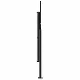 Retractable Side Awning Anthracite 180x600 cm 4004548