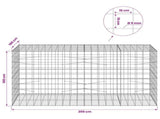 Gabion with 5 mm Wire and 10x10 cm Mesh 200x100x100 cm 3465310
