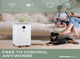 10L/Day Dehumidifier with 2.5L Water Tank, Digital Display, Intelligent & Sleep Mode, 24H Timer, T3398P378787