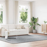 Shaggy Rug High Pile NAVARRA Light Grey 240x340 cm Polyester 4102858