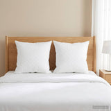 Pillow FULDA 2 pcs 65 x 65 cm 100% Goose Down & Feather White 42042929