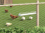 Chain Link Fence Galvanised 2 x 10 m Glass 42033072