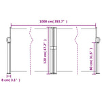 ZNTS Retractable Side Awning Taupe 120x1000 cm 4004709