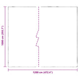 Plant Cover Transparent 10 x 12 m PE 3429296