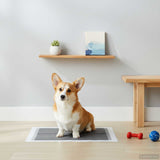 Non-woven Fabric Pet Training Pad 200 pcs 90 x 60 cm 42025314
