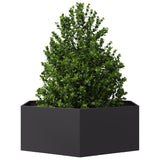 ZNTS Garden Planter Black Hexagon 138x120x45 cm Steel 851136