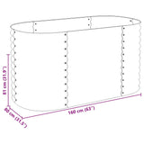 Garden Raised Bed 160x80x81 cm Galvanised Steel Silver 45514
