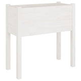 Garden Planters 2 pcs White 70x31x70 cm Solid Pinewood 810822