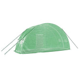 Greenhouse with Steel Frame Green 12 m 6x2x2.85 m 364089