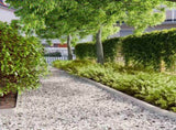 Lawn Edgings 10 pcs 10x103 cm Stainless Steel 860134