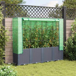 ZNTS Raised Bed with Greenhouse Cover Rattan Look 160x40x153 cm 4015831