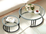 Round Coffee Tables Set of 2, Nesting Tables with Tempered Glass Top and Steel Frame, Black T3398P423876