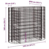 Gabion Raised Bed Galvanised Iron 120x50x100 cm 152032