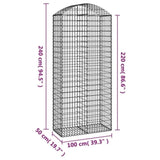 Arched Gabion Basket 100x50x220/240 cm Galvanised Iron 153441