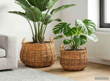 Planter Basket GENDT 2 pcs Natural Brown Kubu Rattan 42020954