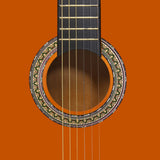 ZNTS 12 Piece Classical Guitar Beginner Set 4/4 39" 70113