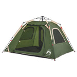 ZNTS Camping Tent Dome 4-Person Green Quick Release 4004143