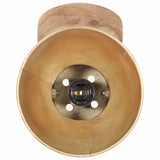 320509 Industrial Wall/Ceiling Lamps 2 pcs Brass 20x25 cm E27