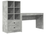 Desk with Drawer with Shelf with Storage 2 pcs Concrete Grey 3337324