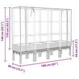 Raised Bed with Greenhouse Cover Rattan Look 160x40x140 cm 4015835