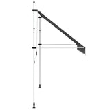143691 Manual Retractable Awning 350 cm Anthracite