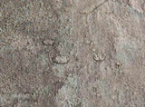 Self-adhesive Flooring Planks Stones 30.5 x 30.5 cm 20 pcs PVC 42046380