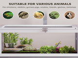 Wooden Tortoise House with Dual-Zone Habitat, Clear Panels, Openable Top, Metal Mesh, for Tortoises T3398P549979