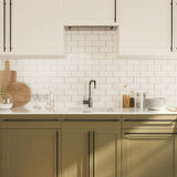 Cabinet Handles 20 pcs Black 480 mm Stainless Steel 3203698