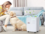 12L/Day Dehumidifier for Home, Laundry Room, Bedroom, Basement, Electric Moisture Air De-Humidifier T3398P341022