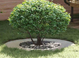 suitable for Flat Tree Rings 5 pcs Silver 40 / 70 cm 873687