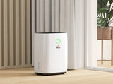 20L/Day Portable Dehumidifier for Home, with LED Screen, Sleep Mode, 24H Timer, 4L Water Tank, T3398P378788