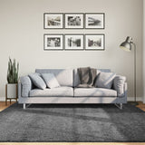 Rug OVIEDO Short Pile Anthracite 200x200 cm 375472