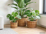 Planter Basket GENDT 3 pcs Natural Brown Kubu Rattan 42020956