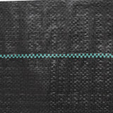 Weed Membrane Black 2x100 m PP 4005196