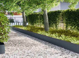 Lawn Edging 50 pcs Anthracite 100 x 0.05 x 30 cm 3335790