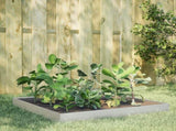 Garden Raised Bed 100x100x18.5 cm Stainless Steel 851014