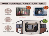 Pet Carrier 14087136
