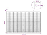 Gabion with 3.5 mm Wire and 10x10 cm Mesh 250x30x200 cm 3463247