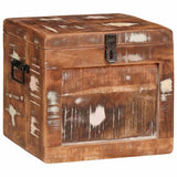 Storage Box with Storage with Door Brown Solid Mango Wood 4104570
