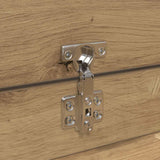 Shoe Cabinet Artisan Oak 100.5 x 28 x 100 cm Engineered Wood 871387