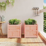 Garden Planters 2 pcs Solid Wood Douglas 837421