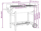 Charcoal grill 96.5 x 42.5 x 88.5 cm Black 42030068