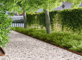 Lawn Edging 10 pcs 102 x 4 x 4 cm Steel Rusty 8008738