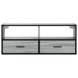 TV Cabinet Grey Sonoma 100x31x39.5 cm Engineered Wood and Metal 848932