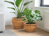 Planter Basket GENDT 2 pcs Natural Brown Kubu Rattan 42020960