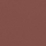 Retractable Side Awning Brown 120x600 cm 4004599
