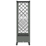 Raised Bed with Trellis and Roof Light Grey 164 x 40 x 127 cm 3423115