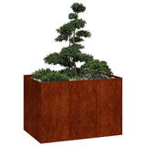 Planter Rusty 120x80x80 cm Weathering Steel 860793
